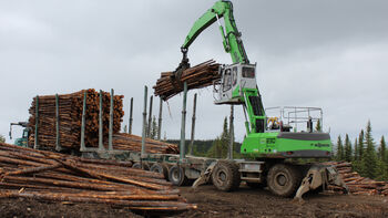 SENNEBOGEN 830 M-T: THE RIGHT CHOICE FOR LOGGING CAMP DUTIES