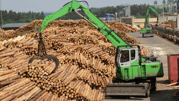 Sawmill, logistics company, and much more: The Ziegler Group focuses on in flexible solutions