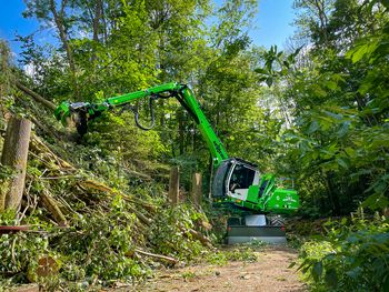 SENNEBOGEN_tree care handler_ash dieback_complex tree felling SENNEBOGEN_tree care handler_ash dieback_complex tree felling