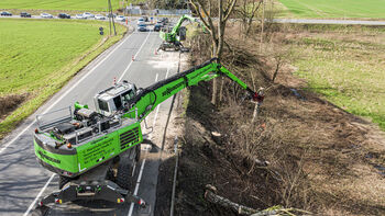 Landscape management with tree care handler along country roads and highways