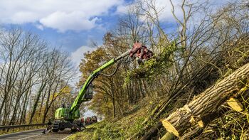 How tree care handlers optimize traffic safety by road maintenance