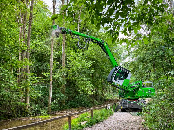 SENNEBOGEN_tree care handler_ash dieback_complex tree felling SENNEBOGEN_tree care handler_ash dieback_complex tree felling