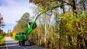 Tree and Vegetation Management in a Changing Climate: Safer Hazard Tree Removal Tree and Vegetation Management in a Changing Climate: Safer Hazard Tree Removal